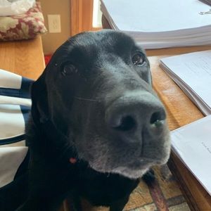 Meet your Posher, Danielle